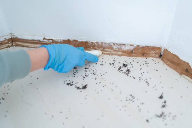 Best Pest Control for Multi-Family Homes  in Yreka, CA